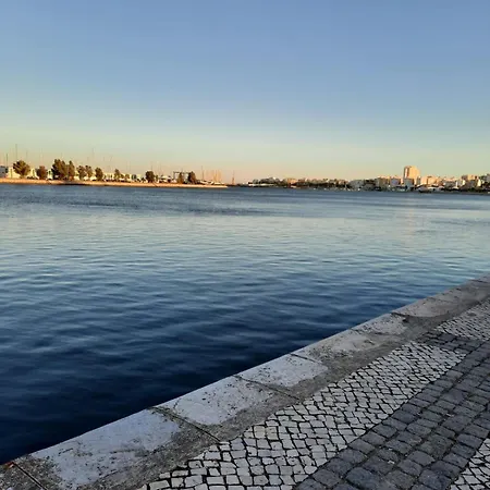 Апартаменти Avenida *